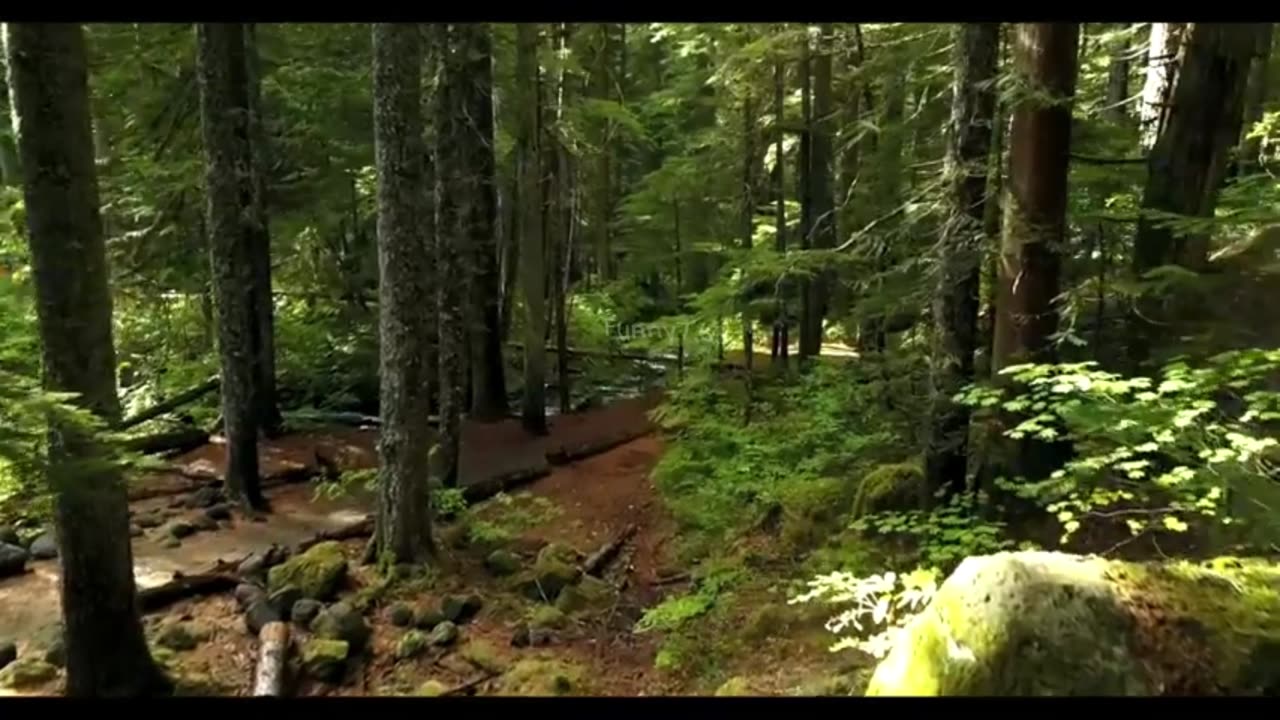 Carpetman ft. You Will Never Know it