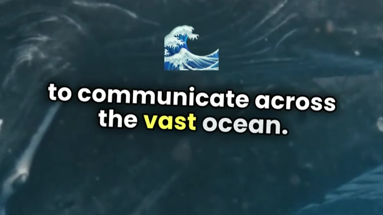 "You Can 'Hear' a Whale's Song Over 1,000 Miles Away!"