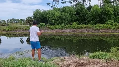 chi la fa l aspetti with live bait tarpon and snook fishing in Florida_part6
