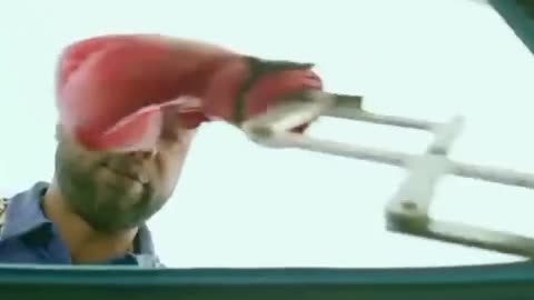 Old Is Gold✨ Cricket Ka Classic Magic!🔥 #shorts​ #cricket​