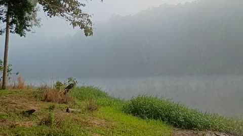 16.7 2025 The Barron River, Kuranda