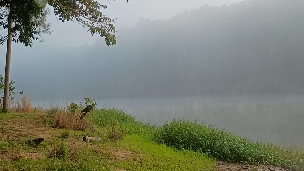 16.7 2025 The Barron River, Kuranda