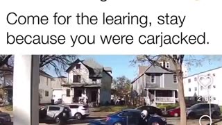 🟢 The Best Video You'll See All Day!