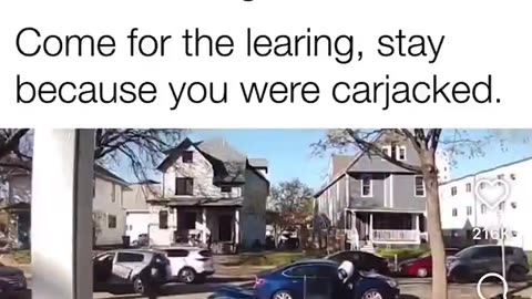 🟢 The Best Video You'll See All Day!