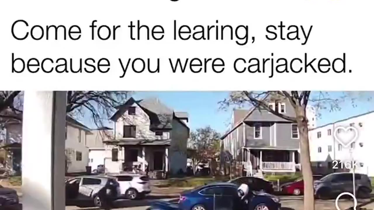 🟢 The Best Video You'll See All Day!