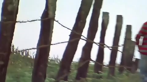 Minnagal koothadum ft. Karthik