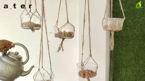 Garden with Hanging Water/Without