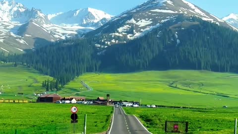 🏞️ Serene Drive Through a Mountain Road | Nature in Motion 🚗🌲