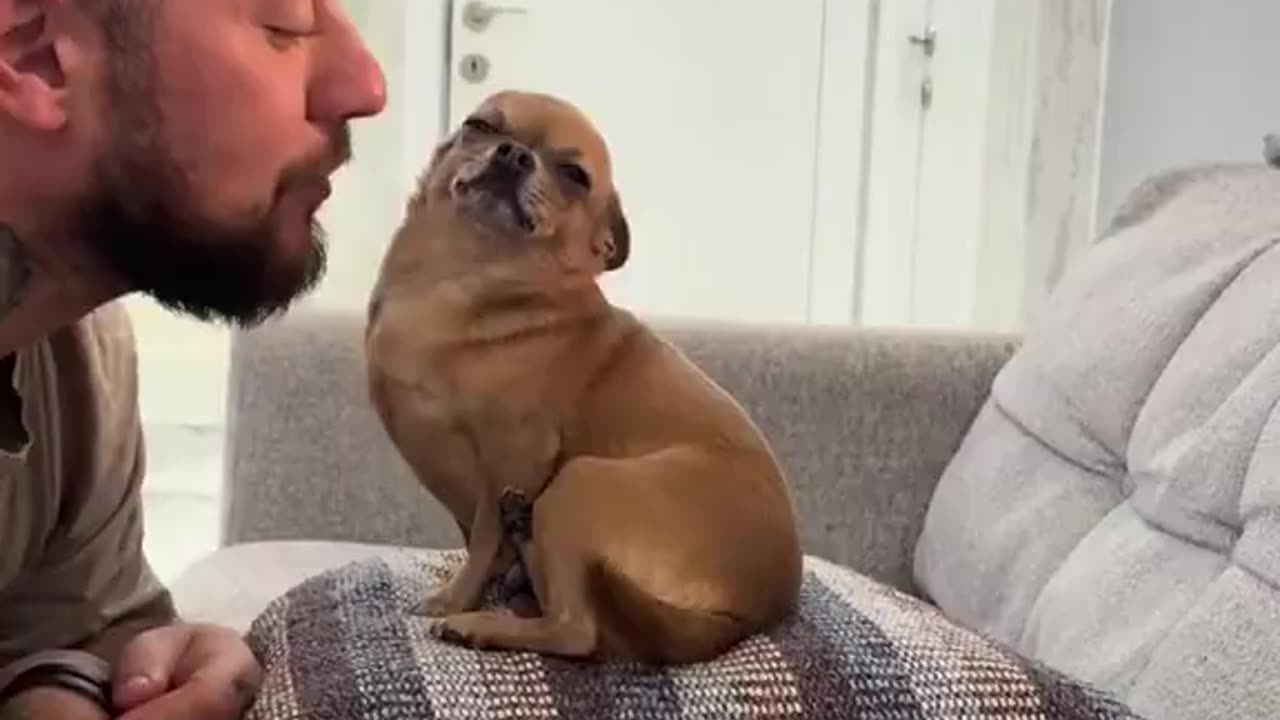 Puppy Loves Love
