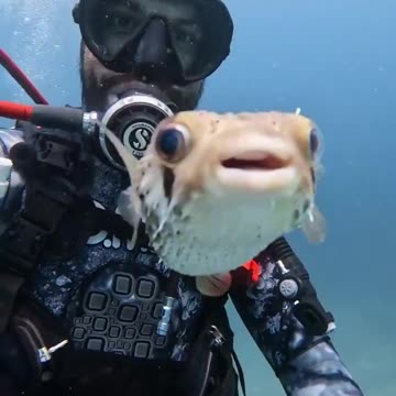 A smile for your timeline.. 😊