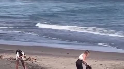 ♻💡 Care About the Environment in This Hilarious Way! | FunFM