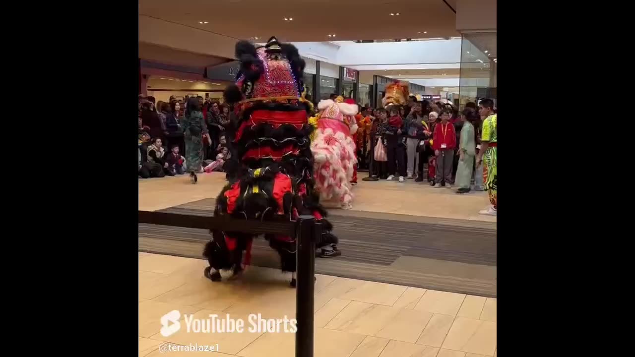 2025 #dragon #dance #show at a #shopping #mall 🥁🐉 #celebration #entertainment #festival #people