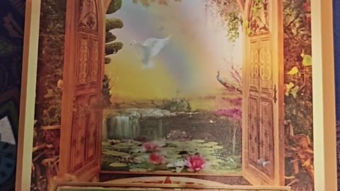 Oracle Card Reading 7/2/25