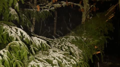 “Solo Survival: Building a Snow Shelter, Fire & Cooking in the Winter Woods”