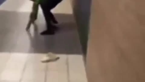 Tyrone Got His Shoe Knocked Off By Laquan In The Hallway