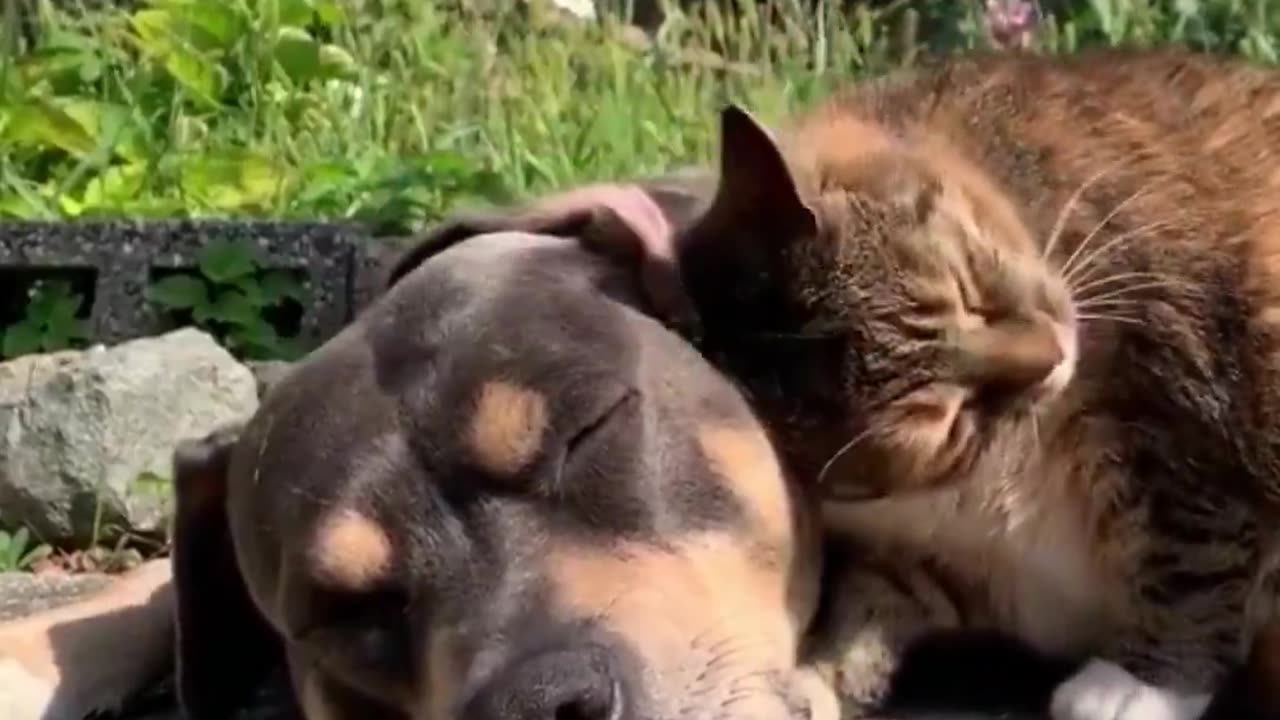 Best friends.. 😊