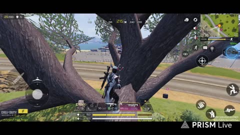 Call of duty mobile