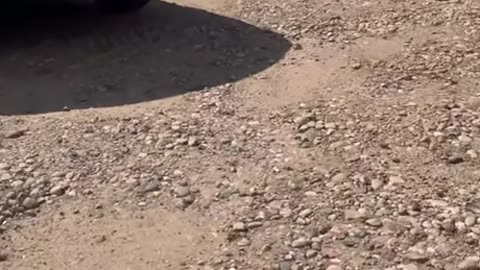 Bananas Jeep