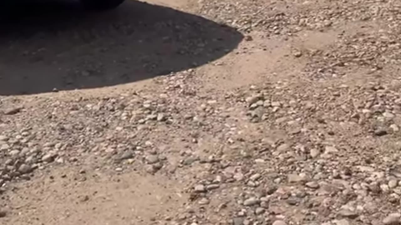 Bananas Jeep