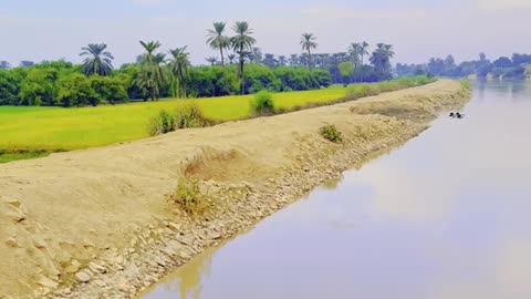 A Day in a Peaceful Village ❤ #maxrecords #larkana #sindh #pakistan