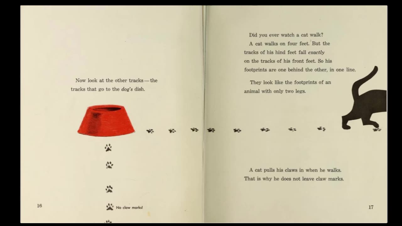 How to be a Nature Detective