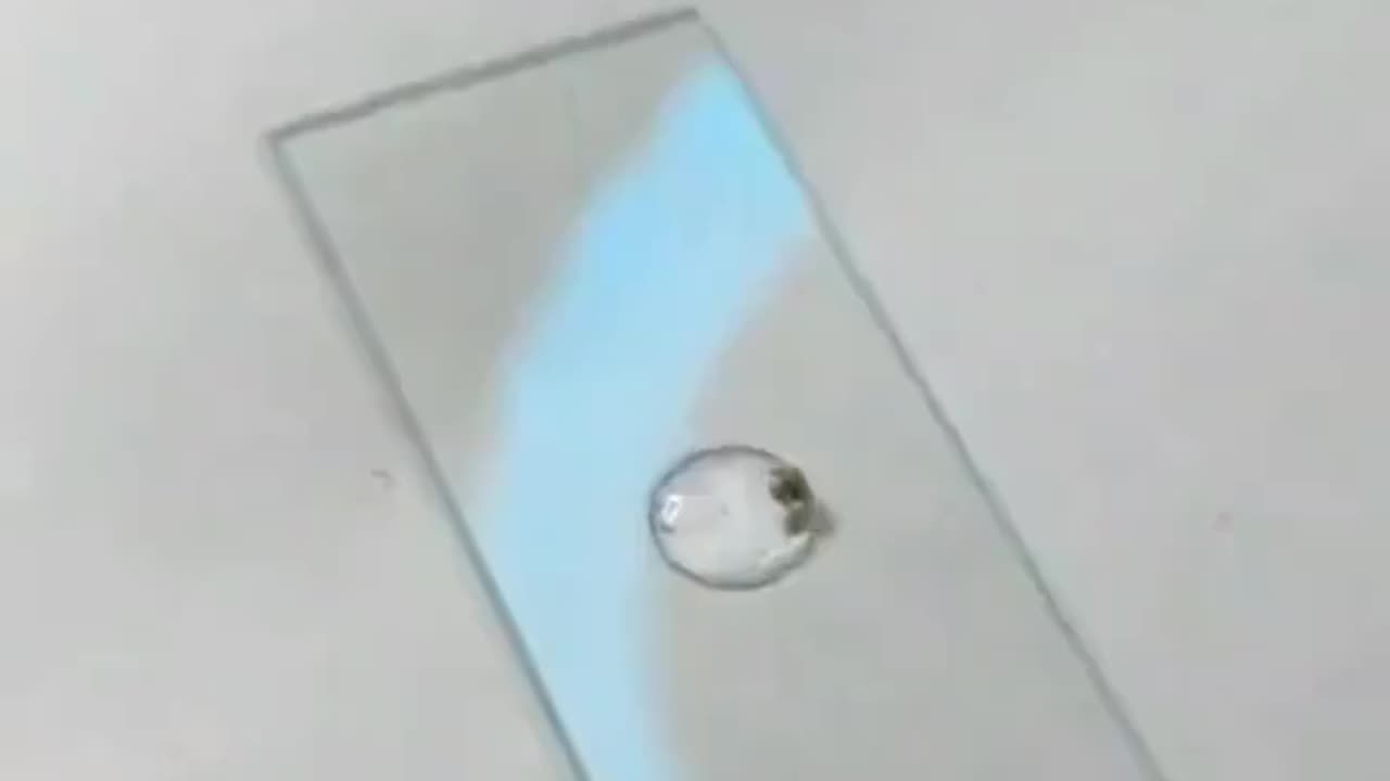 under the microscope