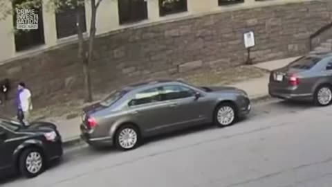 COURT CAM 17 lektor pl