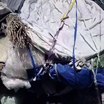 New doctors arrive in Macron's France.