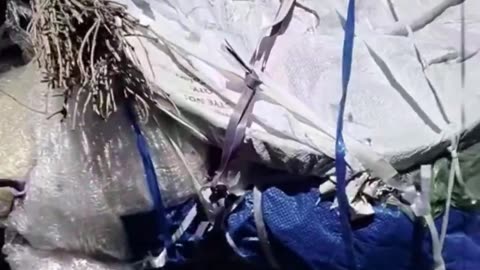 New doctors arrive in Macron's France.