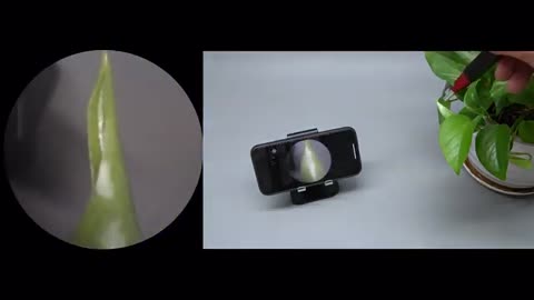 Safest HD Visual Digital Wireless Ear-pick Kit