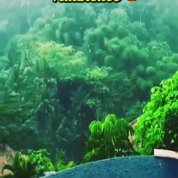 Heavy Rainfall.. @Italy Ambience.#shortvideo