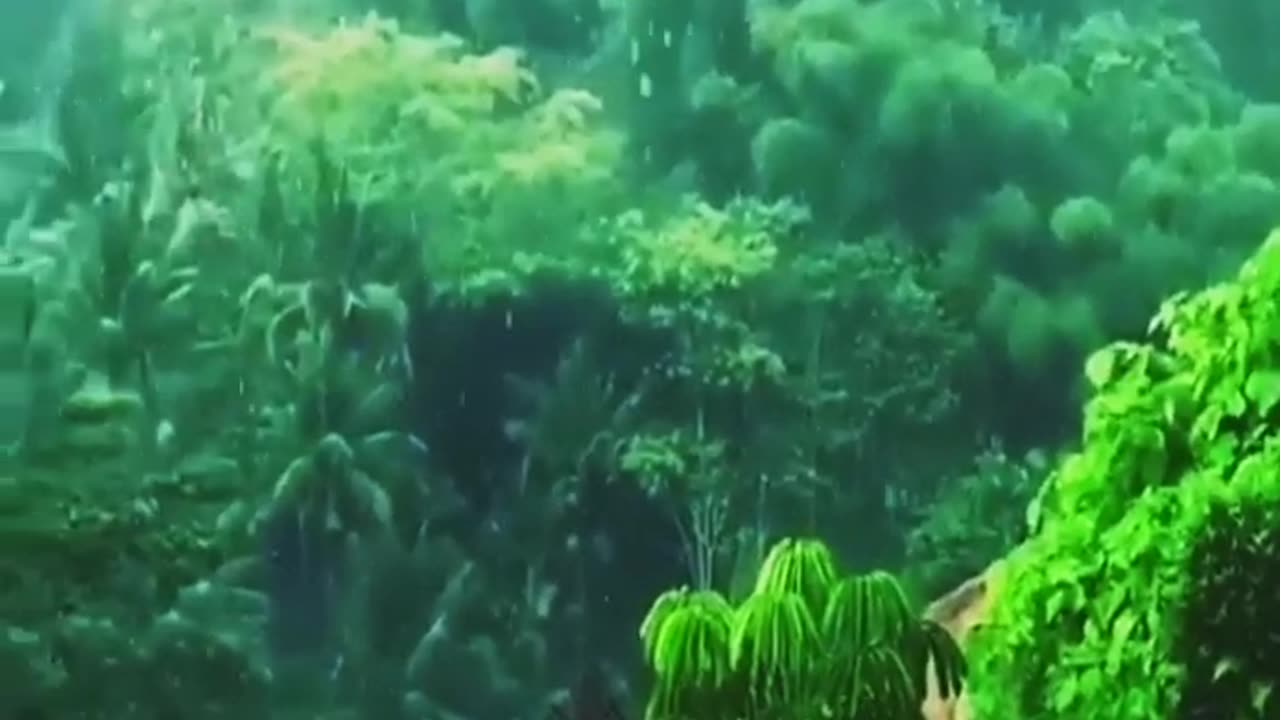 Heavy Rainfall.. @Italy Ambience.#shortvideo