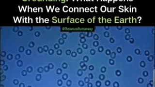 The transfer of free electrons from the Earth to the body is essentially instantaneous.