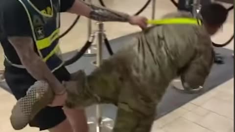 What has happened to the Military