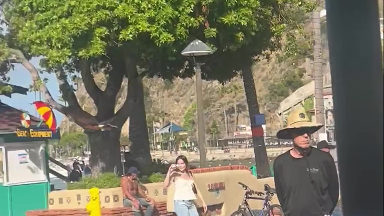 Diving Out of the Way From a Bird Attack