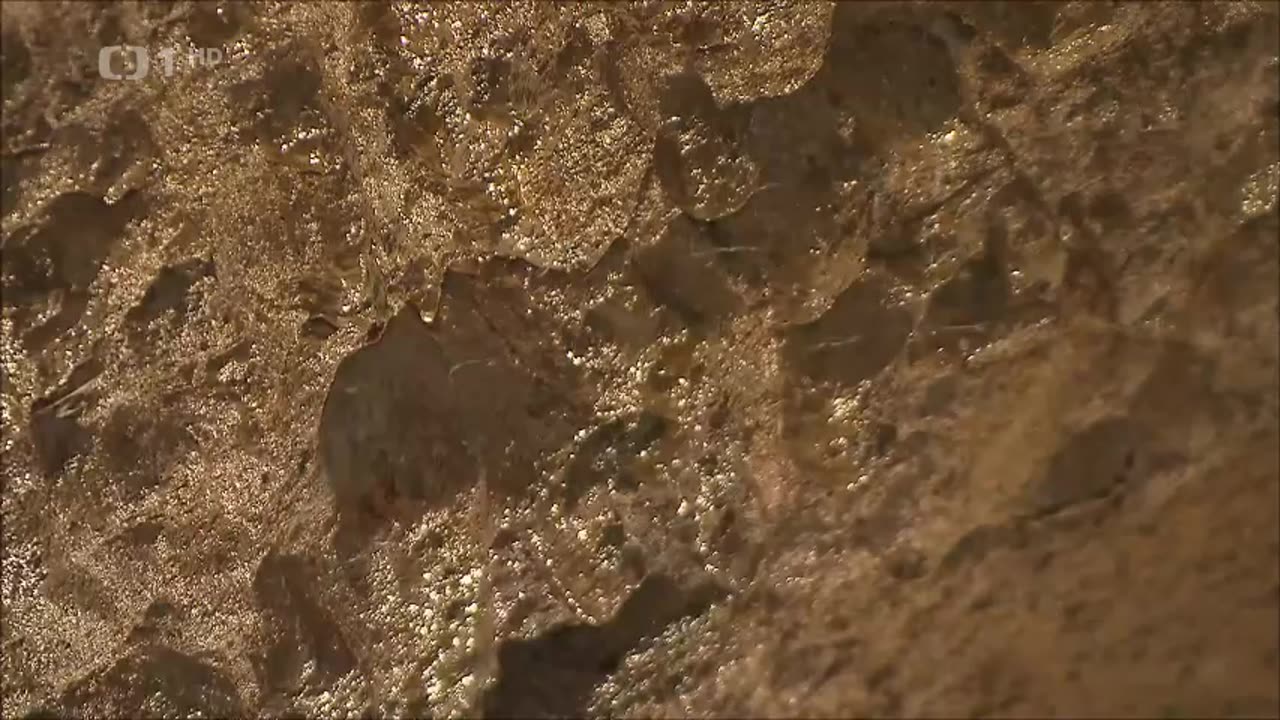 STAROMĚSTSKÁ RADNICE