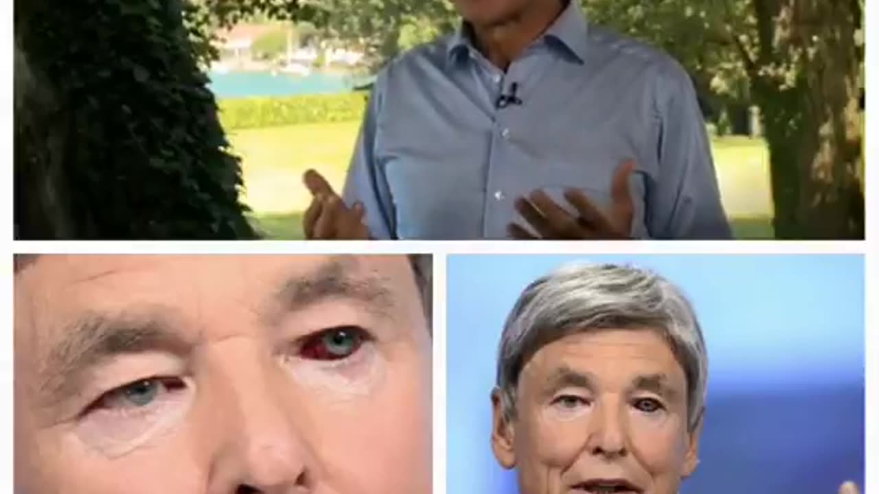 Former Nestlé CEO Peter Brabeck-Letmathe has been named interim Chairman,