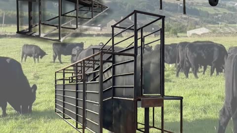 American-Made Loading Chutes