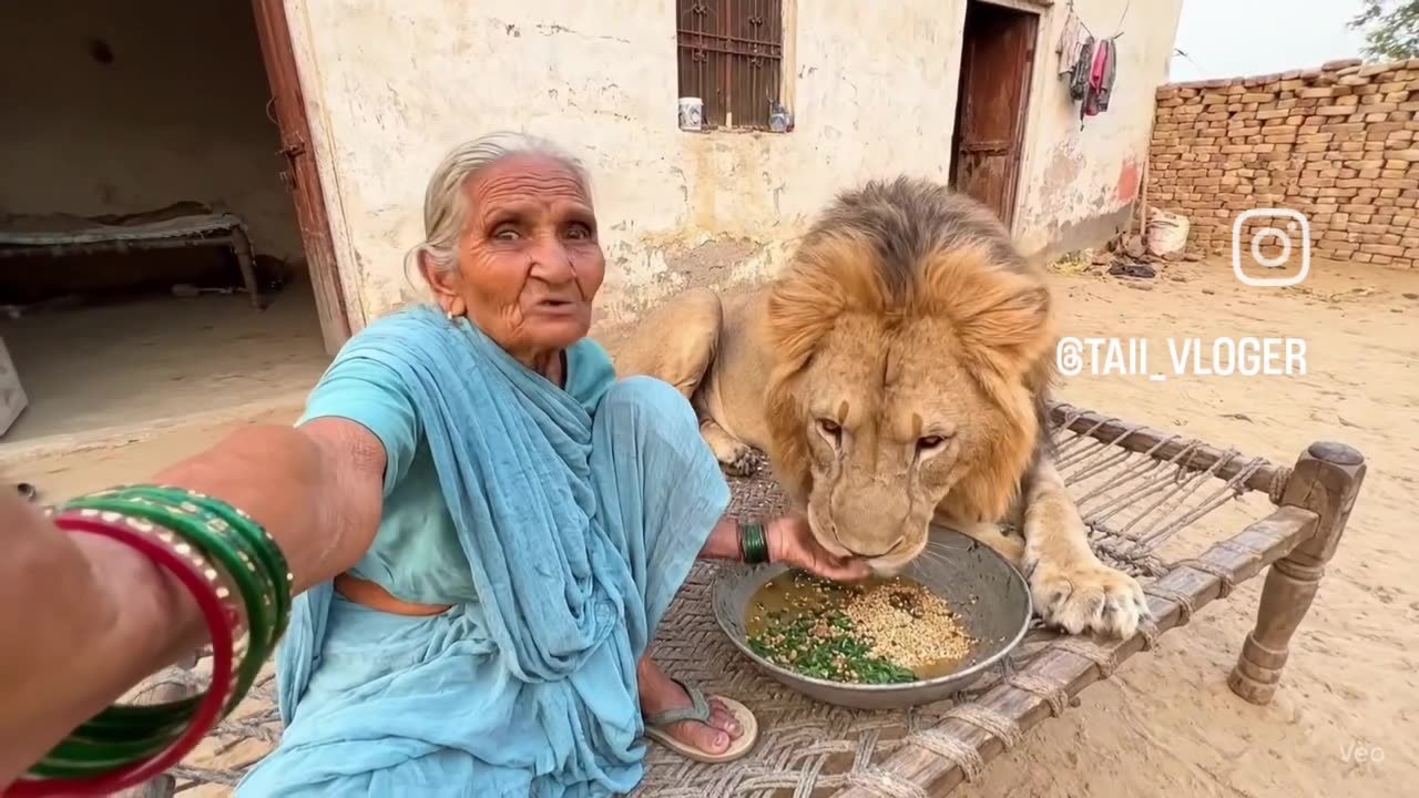 The impact of love