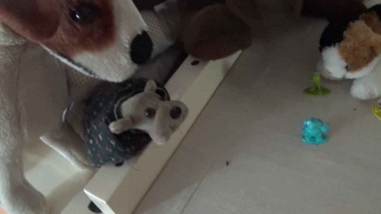 Mooseface Season 9: Episode 11