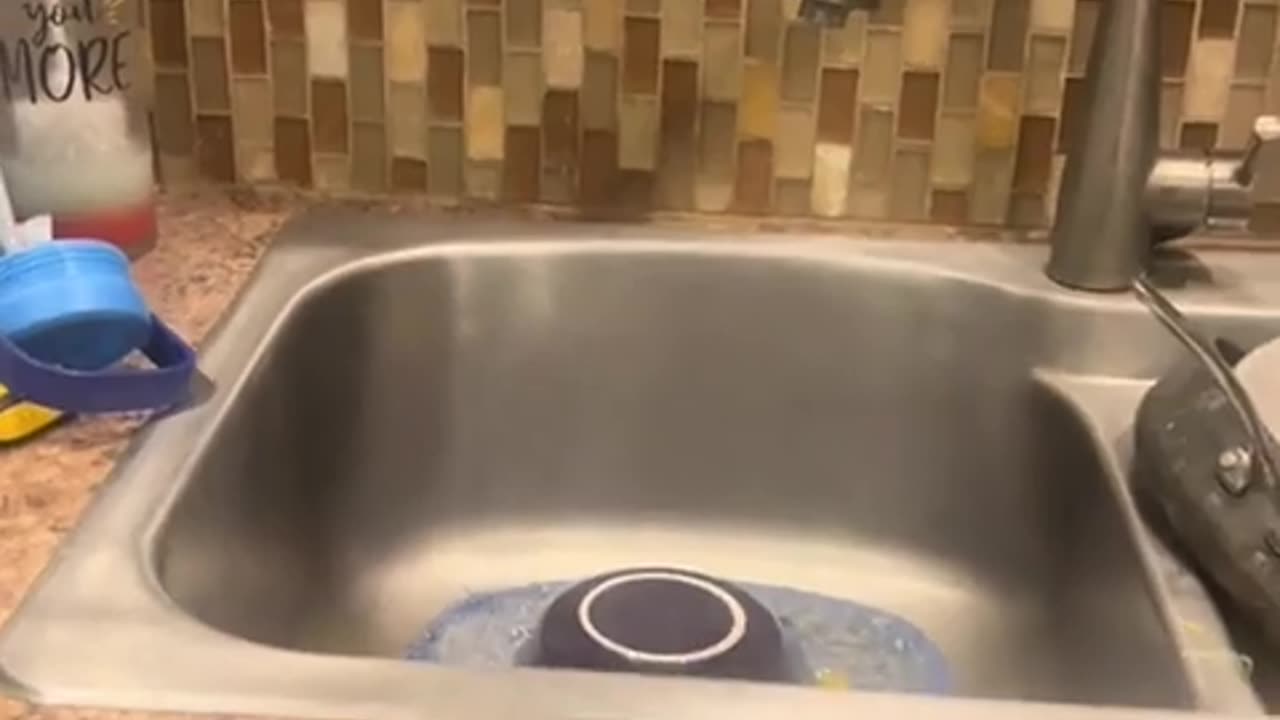 🤣🛠️ Watch This Sink Unclogged in the Most Hilarious Way! | FunFM