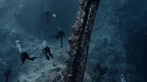 Diver Found Gigantic Shark Tooth Sword Near Mariana Trench
