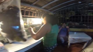 🇨🇴 Comiendo Hormigas Gigantes en Colombia ¡¡¡¡ ► Bucaramanga