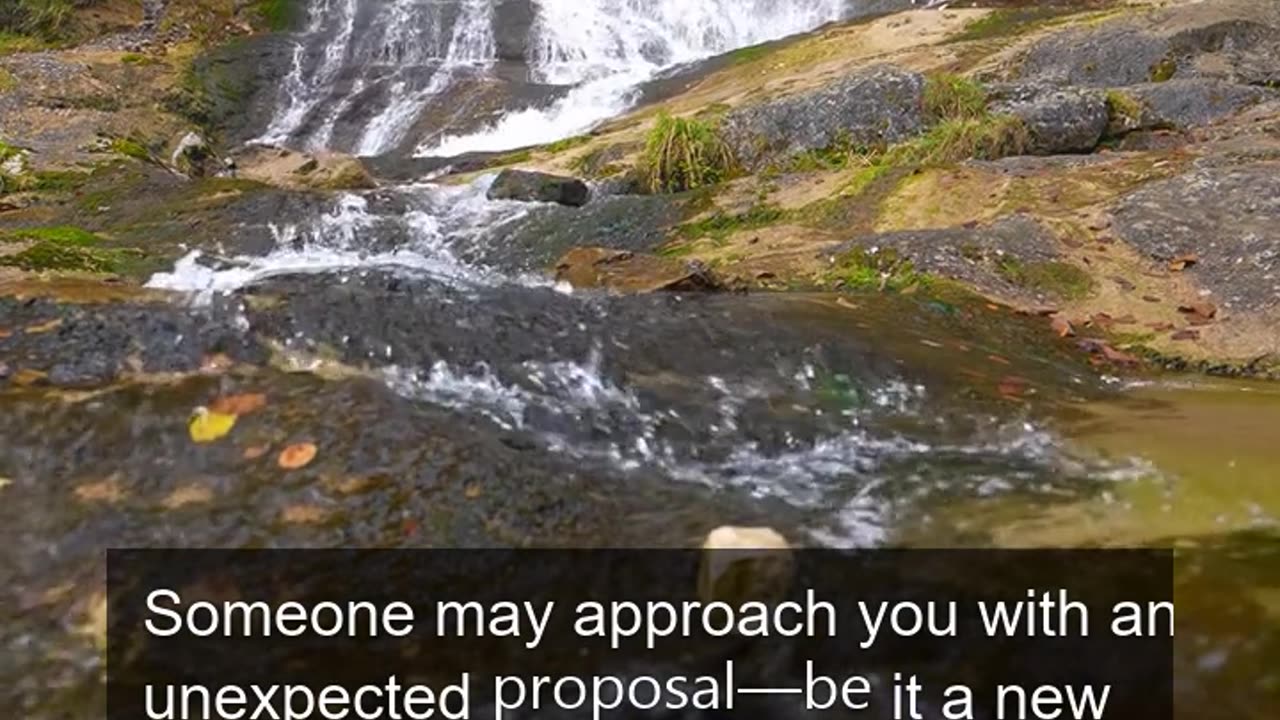 Daily Horoscope | Taurus 🌟