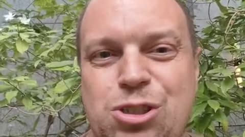 Что такое финансовый агент Voidara и как он работает?