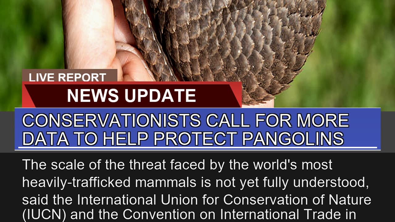 Conservationists Call for More Data to Help Protec