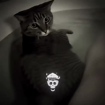 Bro, I thought it wouldn’t fall🤣 #reelschallenge