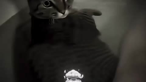 Bro, I thought it wouldn’t fall🤣 #reelschallenge