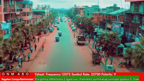 Oduu Galgala ONM-ABO Hagayya 12-2025 itti dhiyaadhaa!