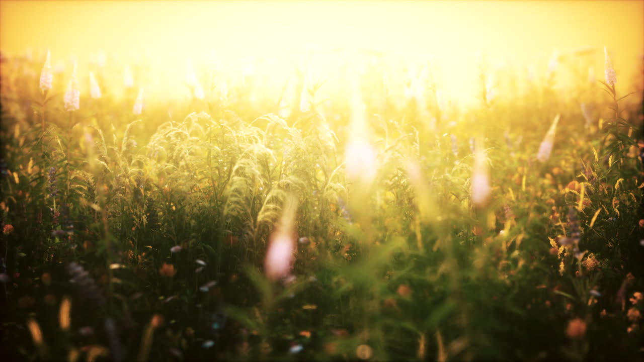 I JUST CAN'T GET ENOUGH (Instrumental)